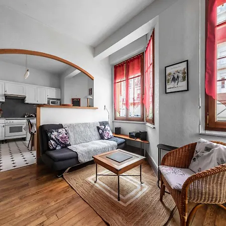 Le Lasteyras - En Centre Apartment Vichy